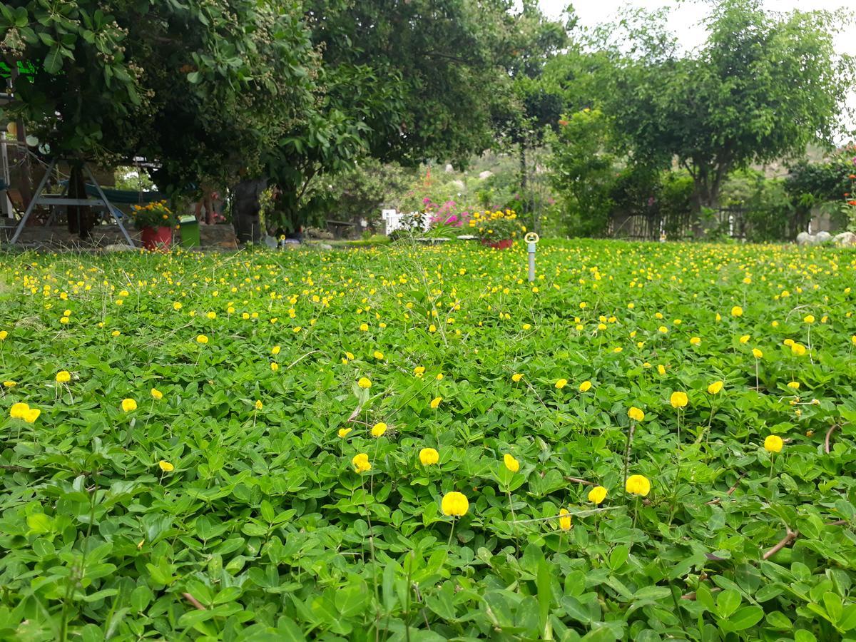 Dao Hoa Vang Villa 깜라인 외부 사진