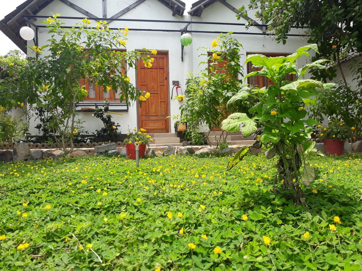 Dao Hoa Vang Villa 깜라인 외부 사진