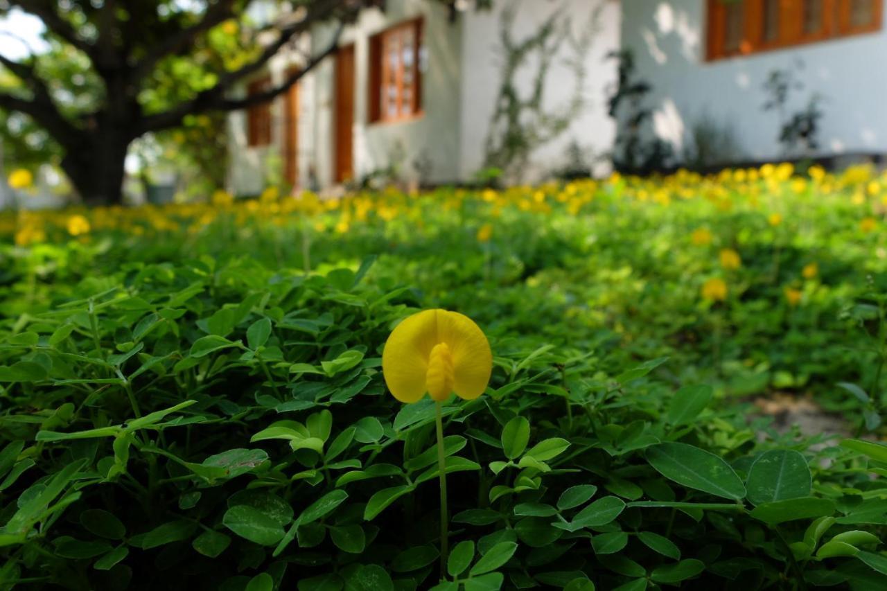 Dao Hoa Vang Villa 깜라인 외부 사진