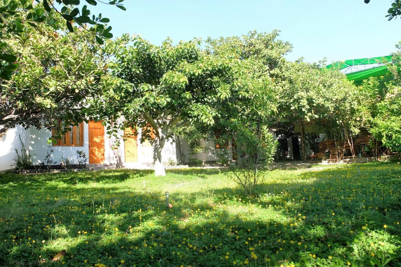 Dao Hoa Vang Villa 깜라인 외부 사진